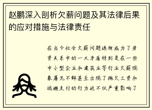 赵鹏深入剖析欠薪问题及其法律后果的应对措施与法律责任